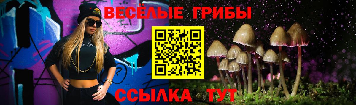 Псилоцибиновые грибы мицелий Соль-Илецк